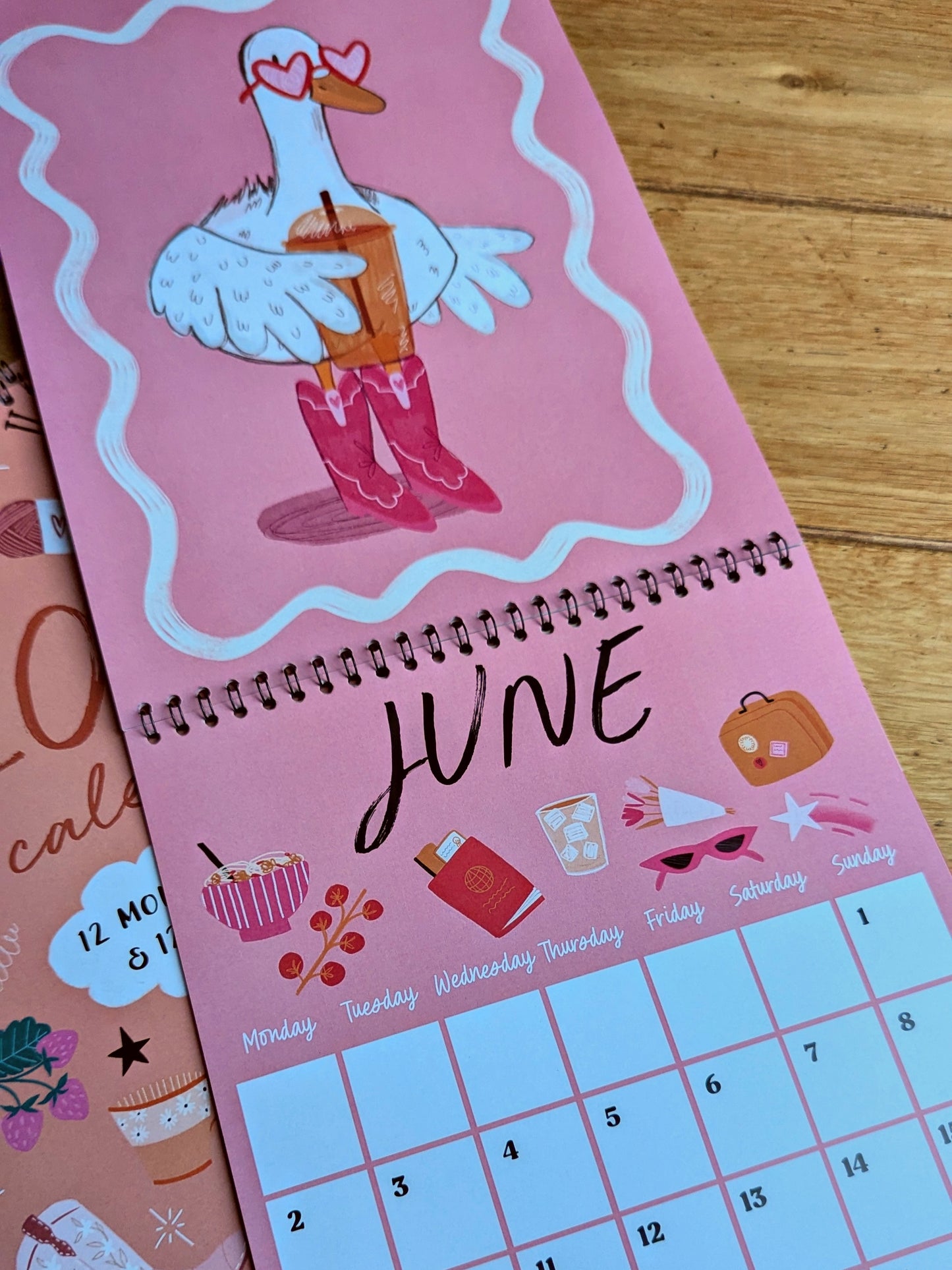 2025 Wall hanging illustrated Calendar