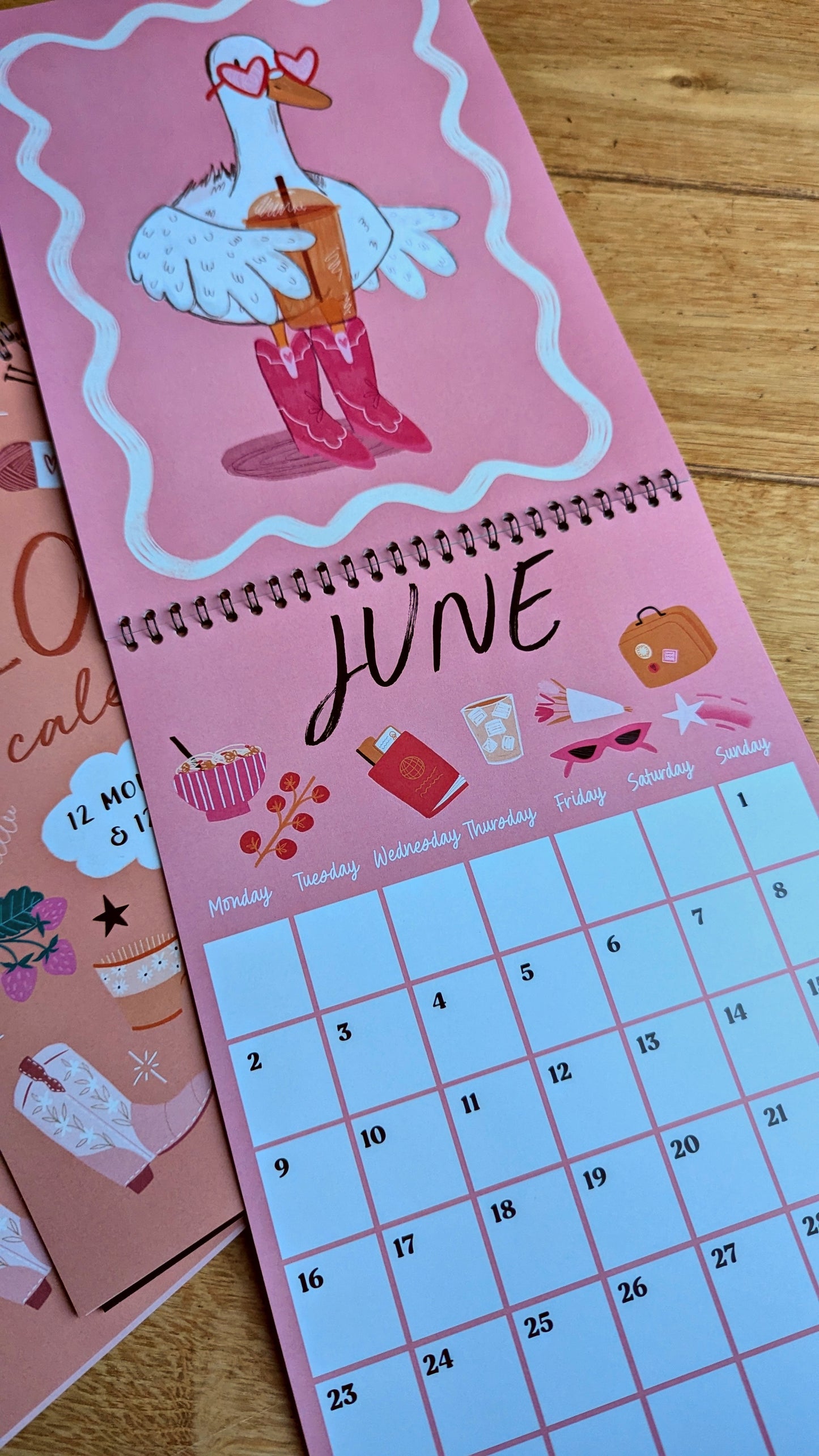 2025 Wall hanging illustrated Calendar