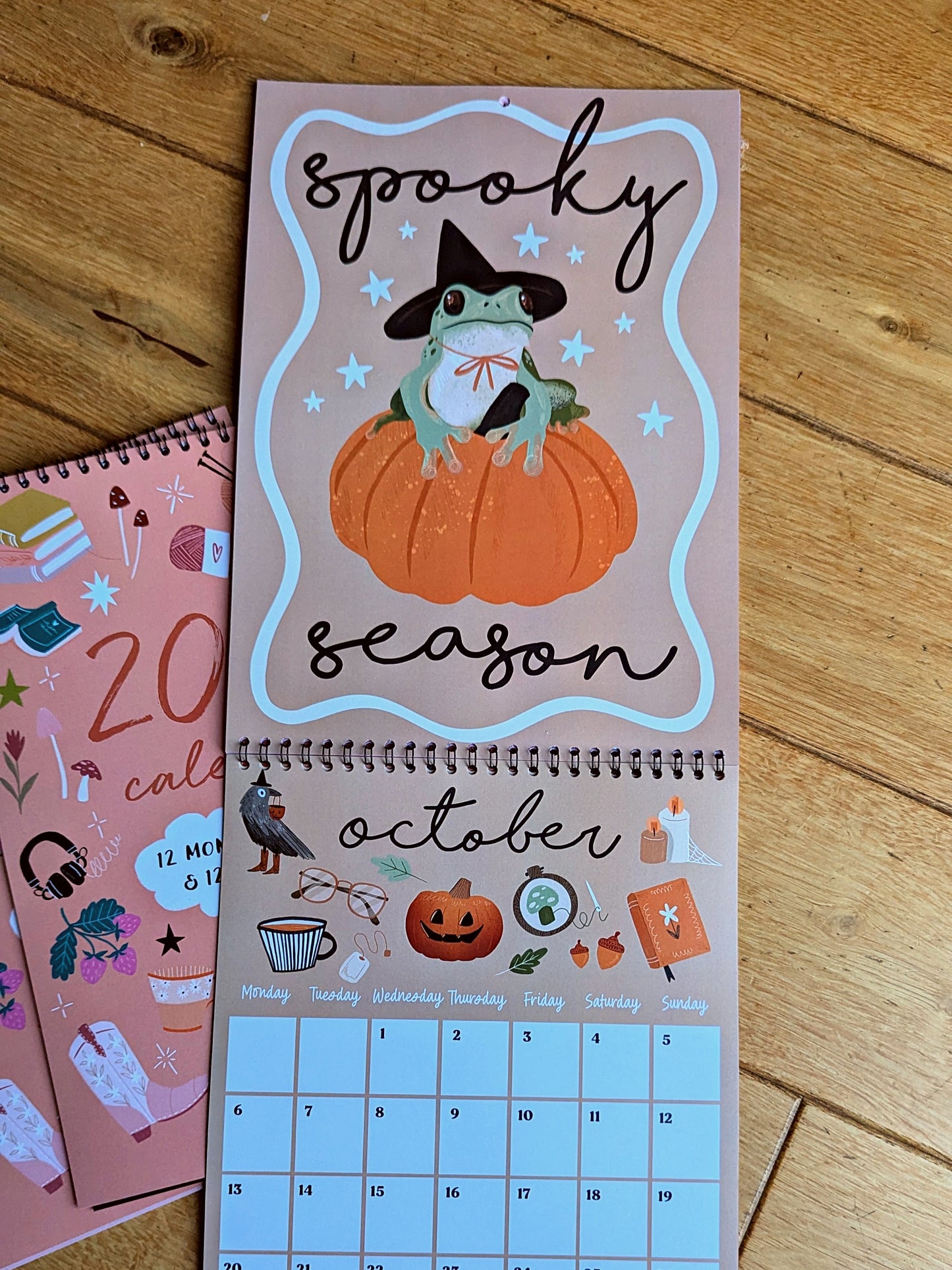 2025 Wall hanging illustrated Calendar